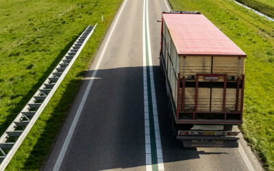 A large truck with a red roof drives on a two-lane road bordered by grass, viewed from above.